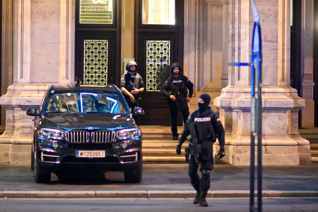 Autoría de atentados en Viena permanece desconocida
