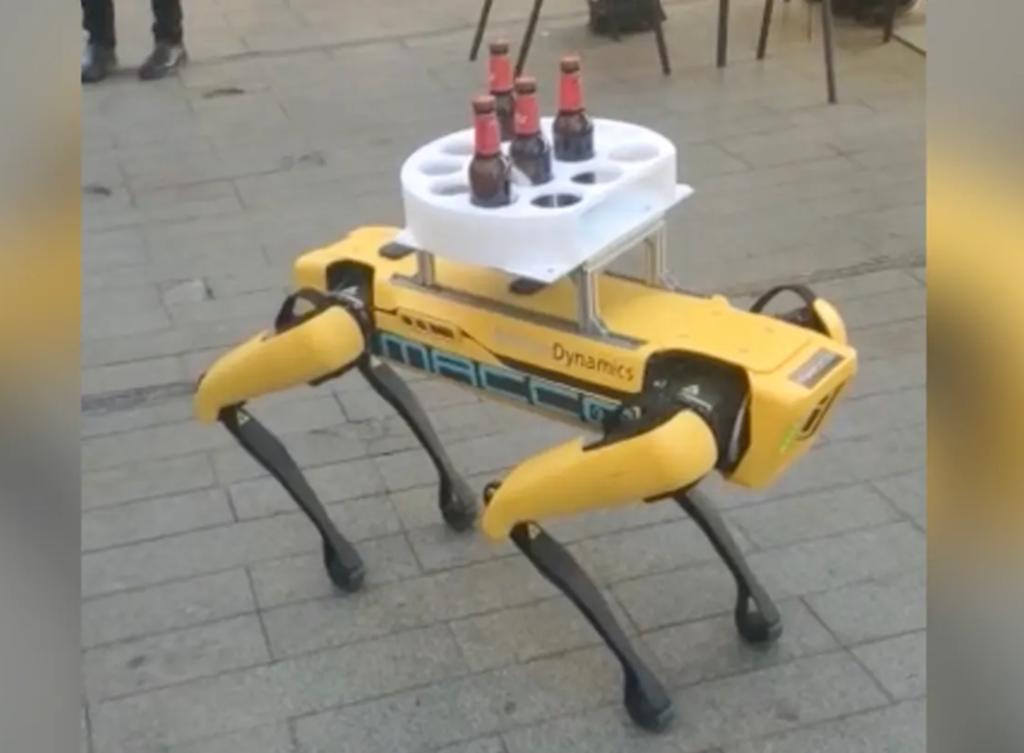 Desconcierta el perro robot sirviendo cervezas en Sevilla