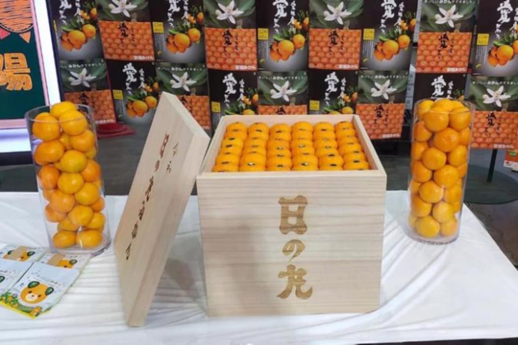 Caja de mandarinas se vende en 198 mil pesos en Japón