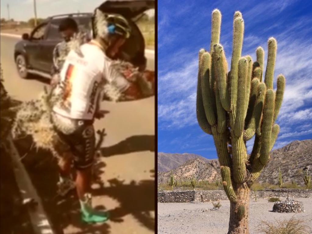 Ciclista cae sobre un cactus y termina con espinas en todo el cuerpo