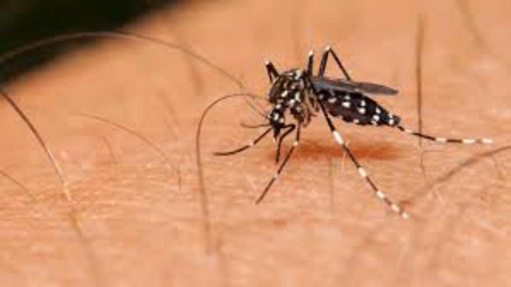 Confirman primer caso de zika en Piedras Negras