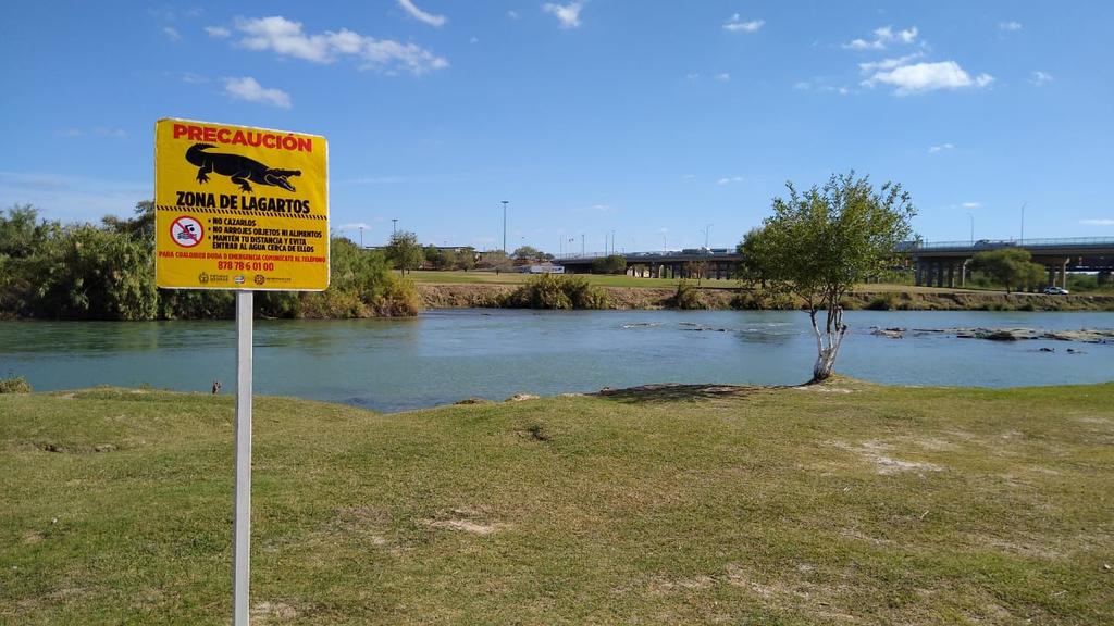 Coloca Piedras Negras señalamientos de peligro a orilla del río Bravo, por presencia de lagarto