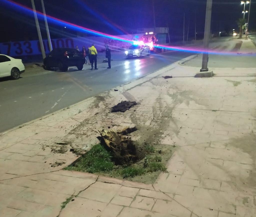 Conductora pierde control de su vehículo en Torreón y derriba palma