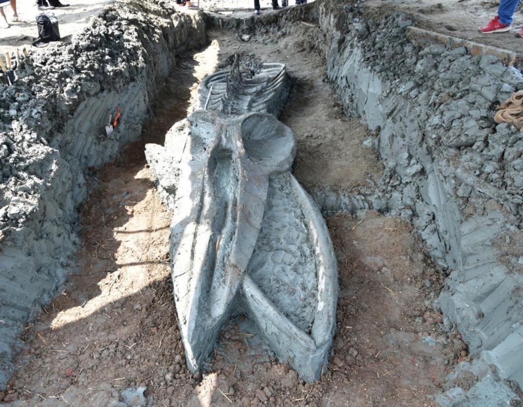 Descubren esqueleto de ballena perfectamente conservado de unos 5 mil años