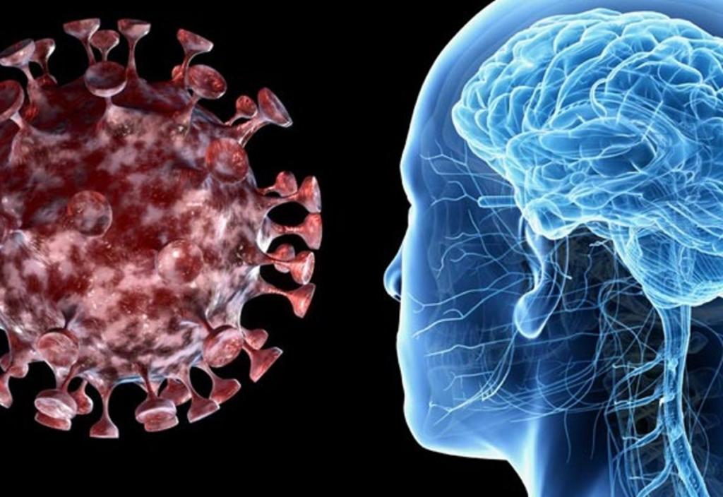 SARS-CoV-2 podrí afectar al cerebro ingresando por la nariz