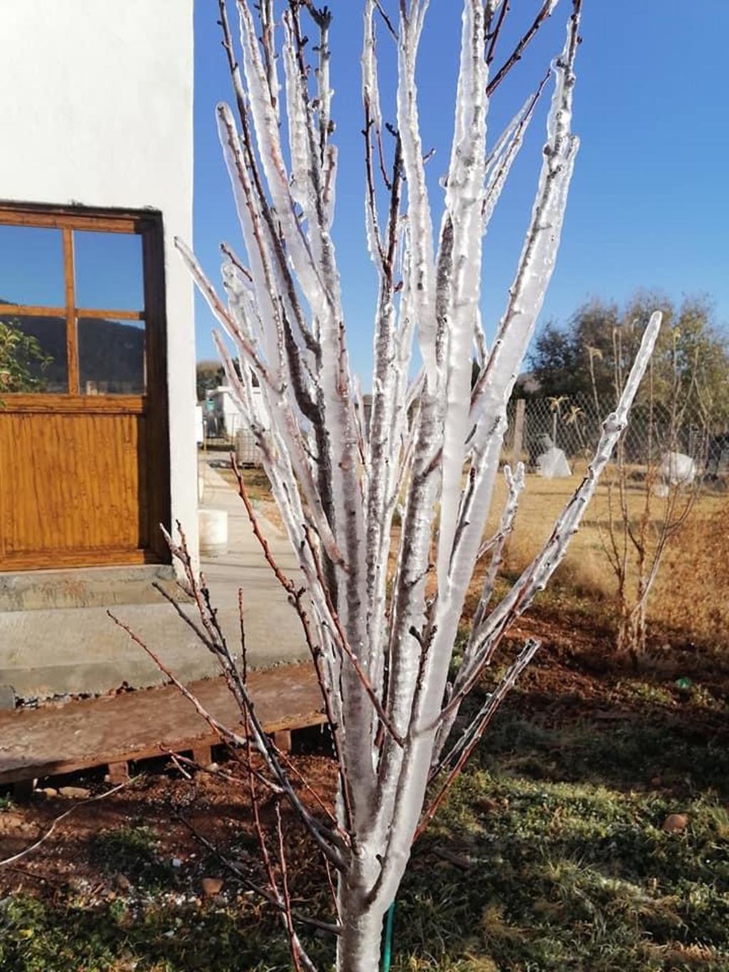 Termómetro en Arteaga llega a los -6.3 grados centígrados