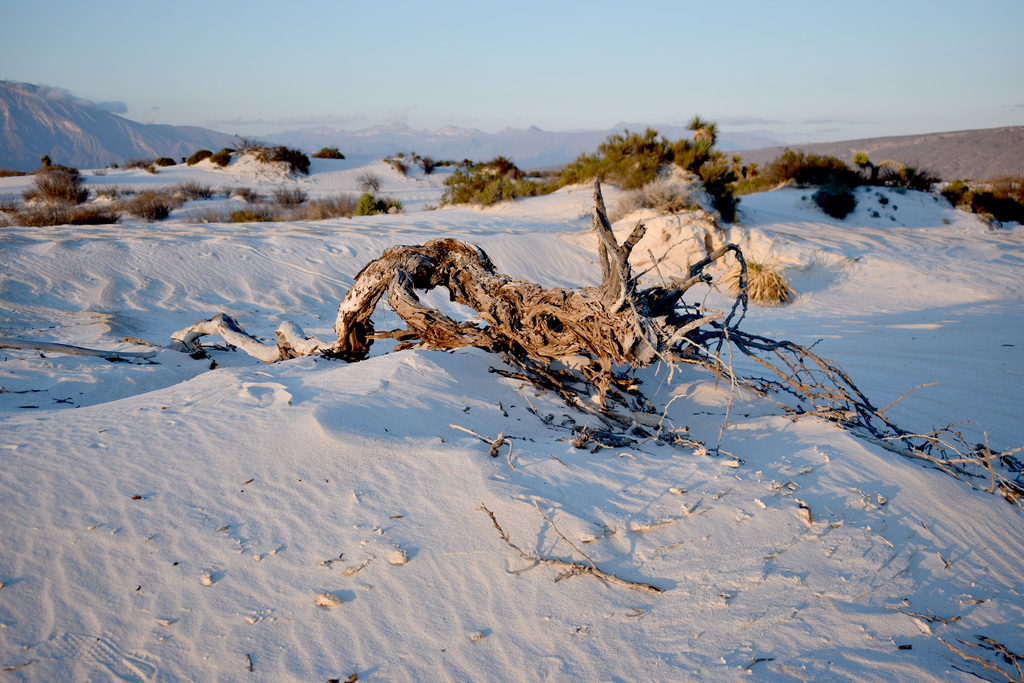 Cuatro Ciénegas, a 10 grados bajo cero