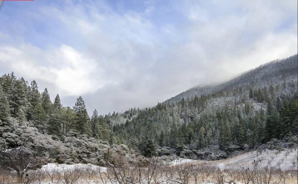 Termómetro llega a los -14 grados en Arteaga