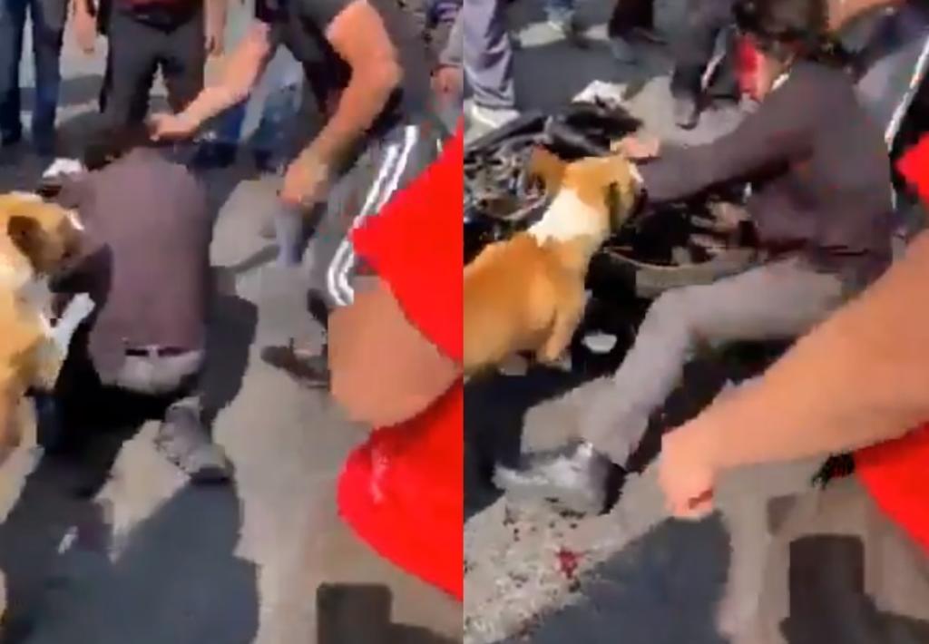 'Suave lomito al ataque'; perro se une a linchamiento de 'ladrón' en Edomex