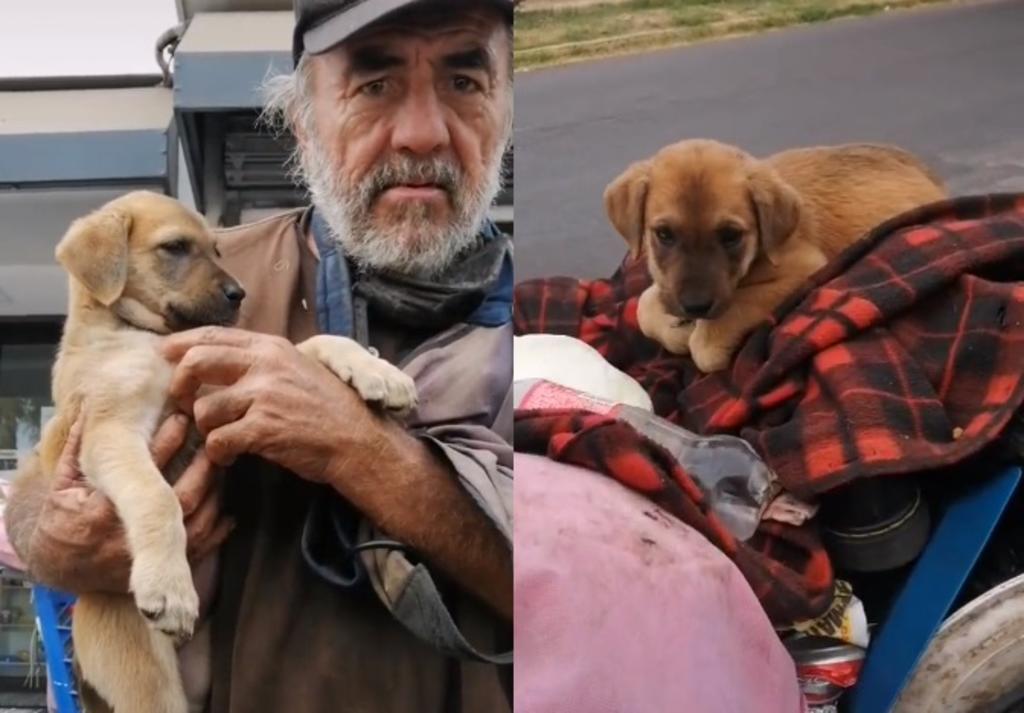 Anciano en situación de calle pide ayuda para encontrar a su perrita 'Traviesa'