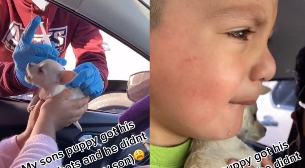 VIRAL: Niño llora desconsolado al ver que vacunan a su mascota