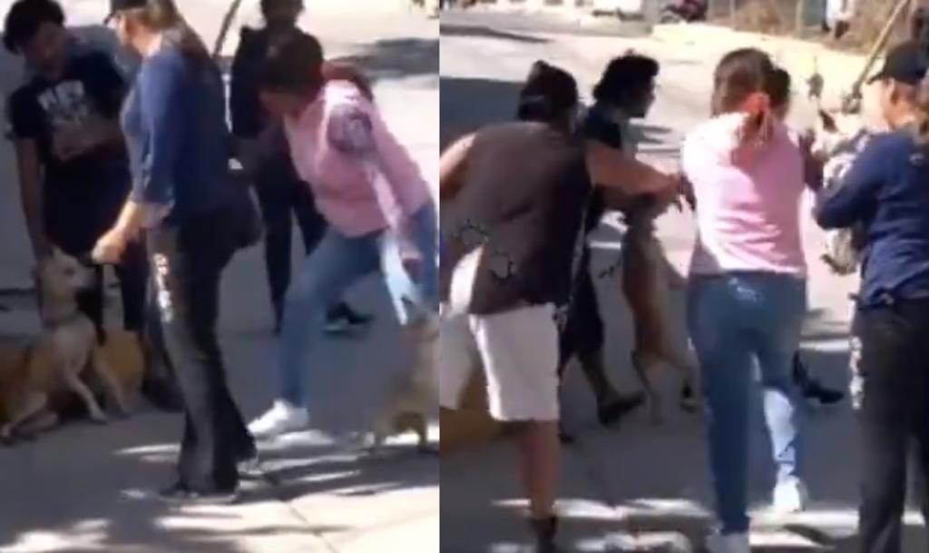 Mujer propina golpiza a pitbull que mordió a un chihuahua en el Edomex