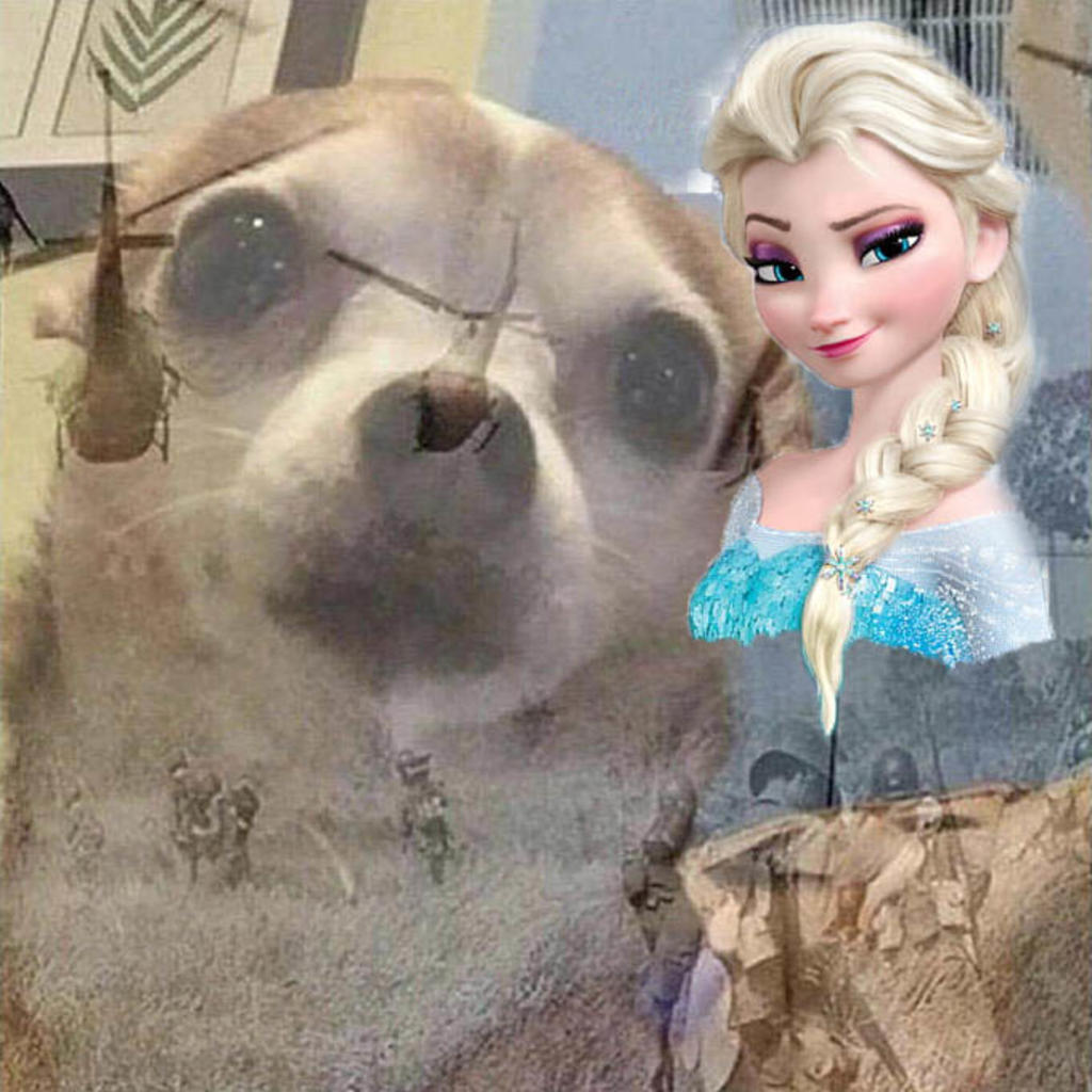 ¿Mal presagio? Resurgen los memes de 'Elsa' para recibir al 2021