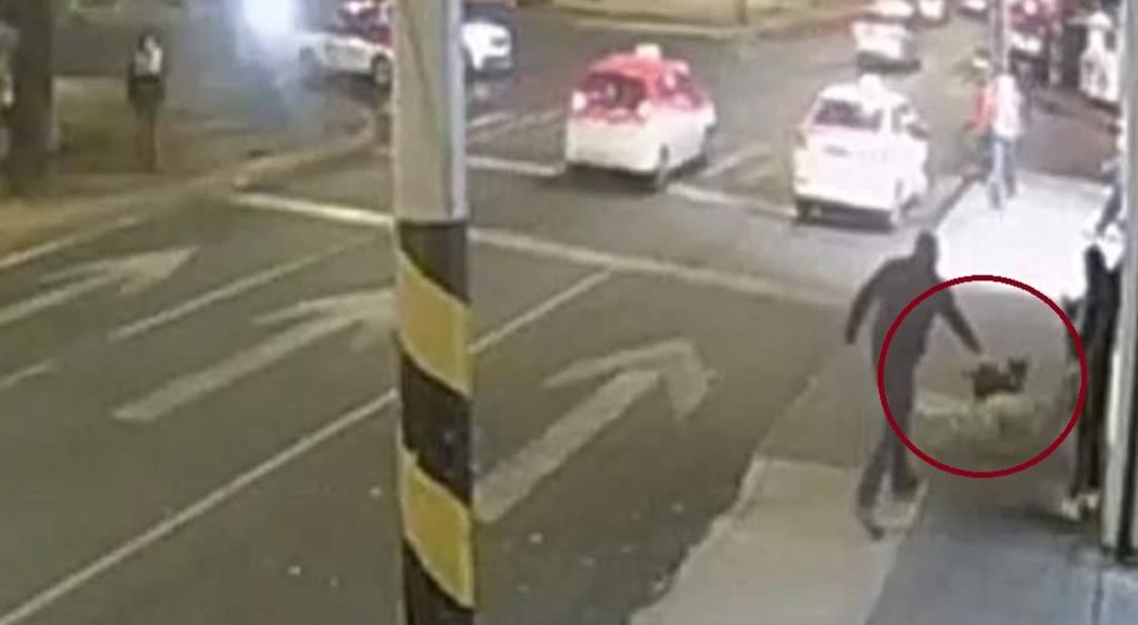 Hombre mata a balzos a perrita que 'le ladró' en calles de la CDMX