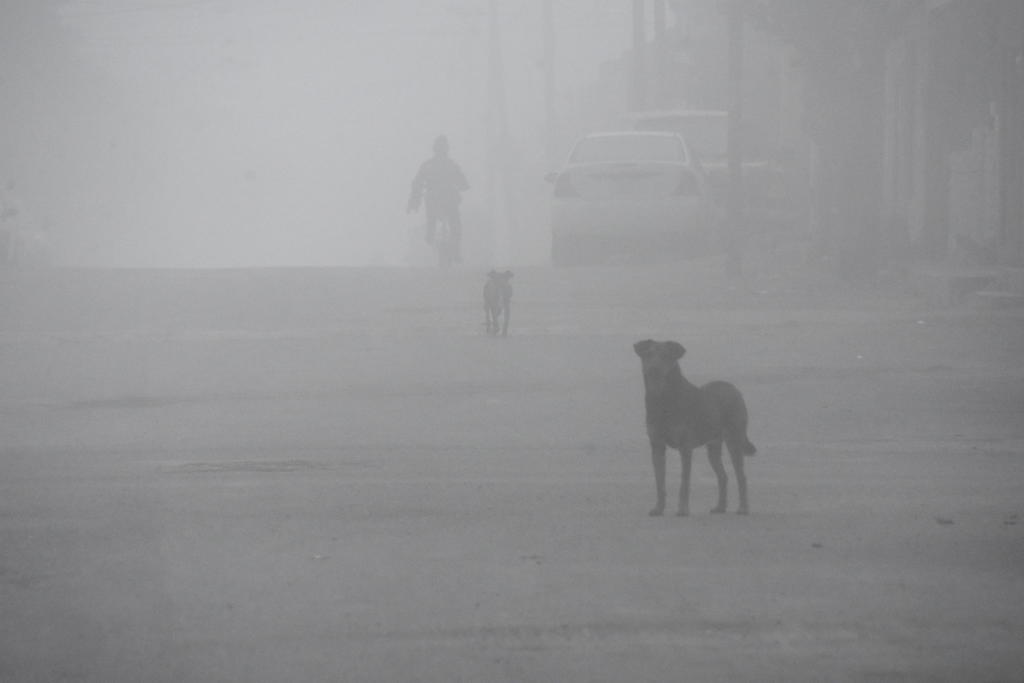 Amanece Monclova con densa niebla