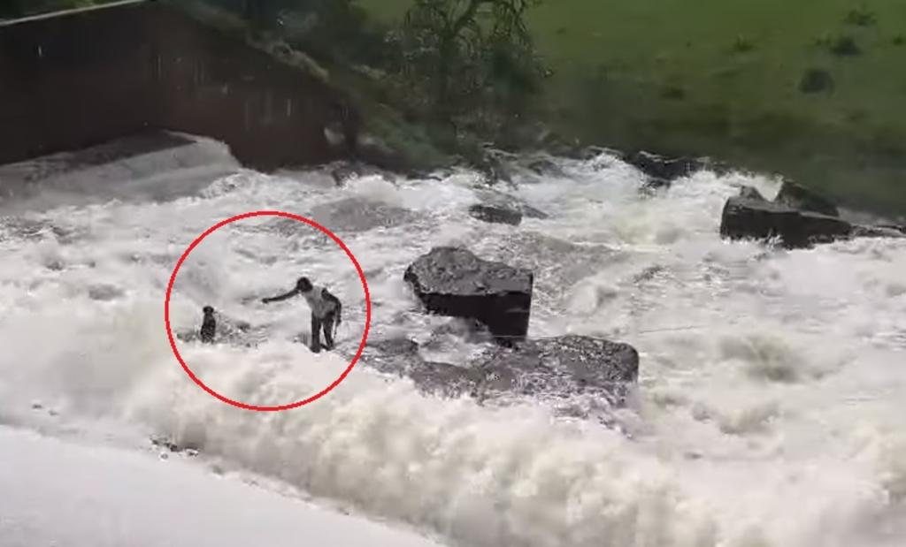 Jardinero salva a perro de ser arrastrado por el agua en una represa