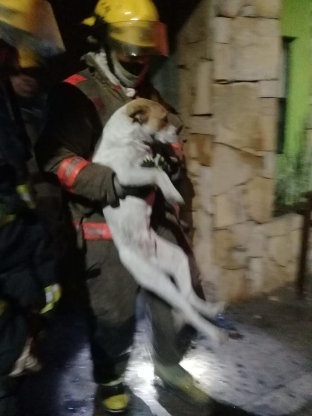 Bomberos rescatan a un perro en incendio de Monclova