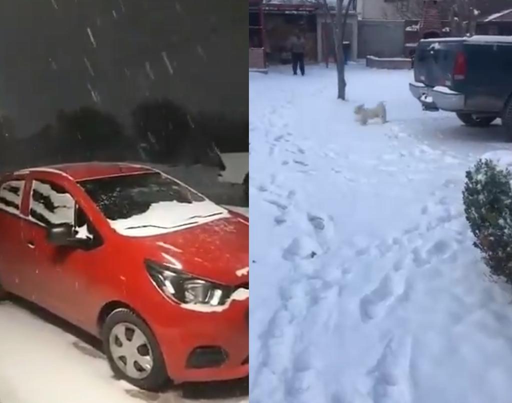 Comparten en redes fotos y videos de la caída de nieve en el norte de México