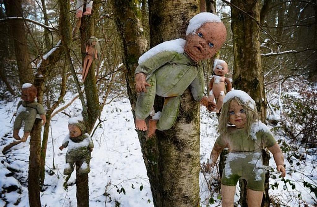 Encuentran a varias muñecas clavadas a los árboles de un bosque en Inglaterra