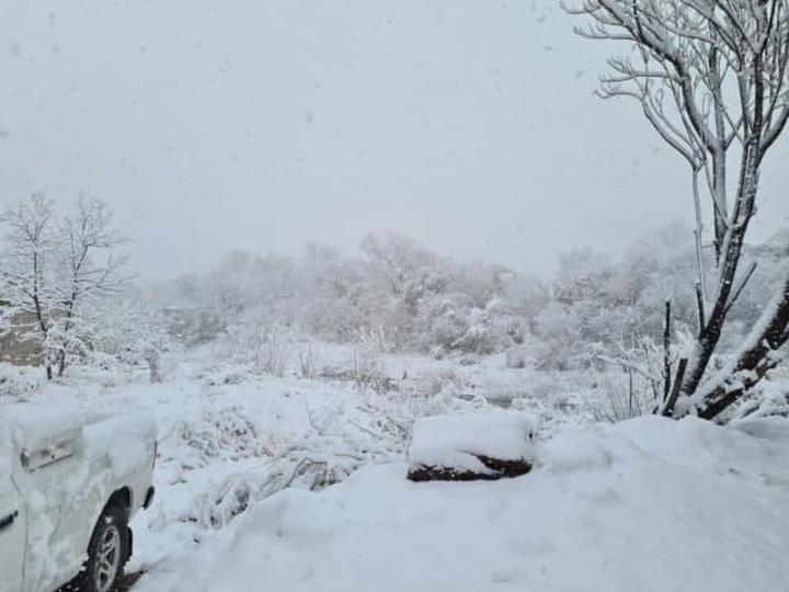 Se registra segunda intensa nevada en la región Norte de Coahuila