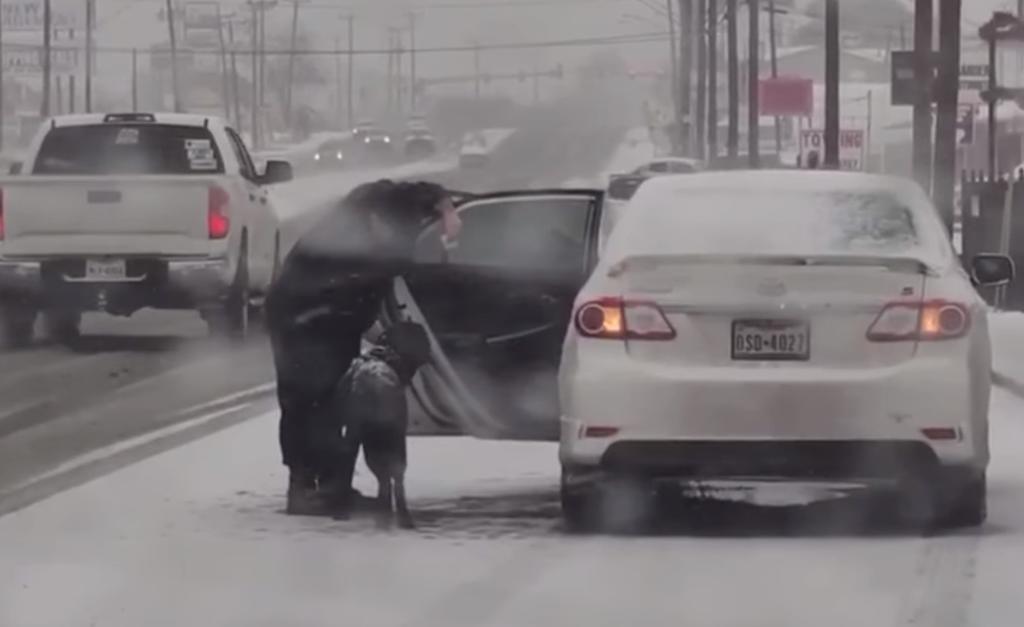 Con tortillas, mujer atrae a perro para protegerlo del frío en Texas