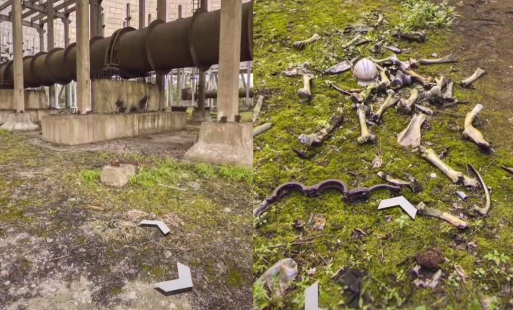VIRAL: Descubren supuestos huesos en Chernobyl a través de Google Maps