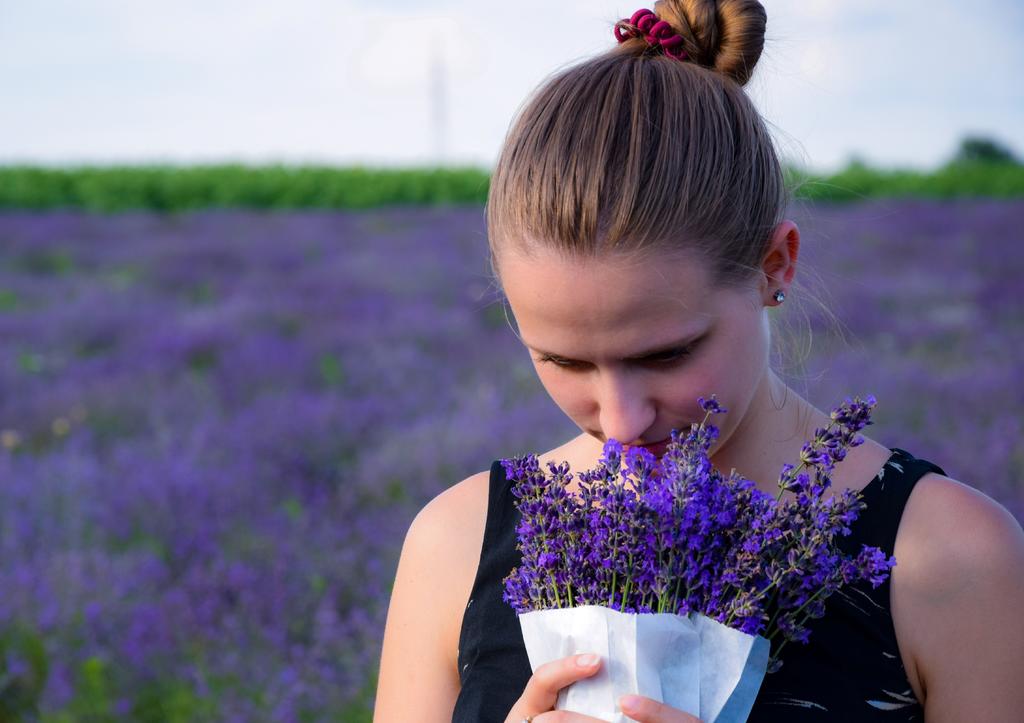¿Cómo influyen los aromas en tus recuerdos?