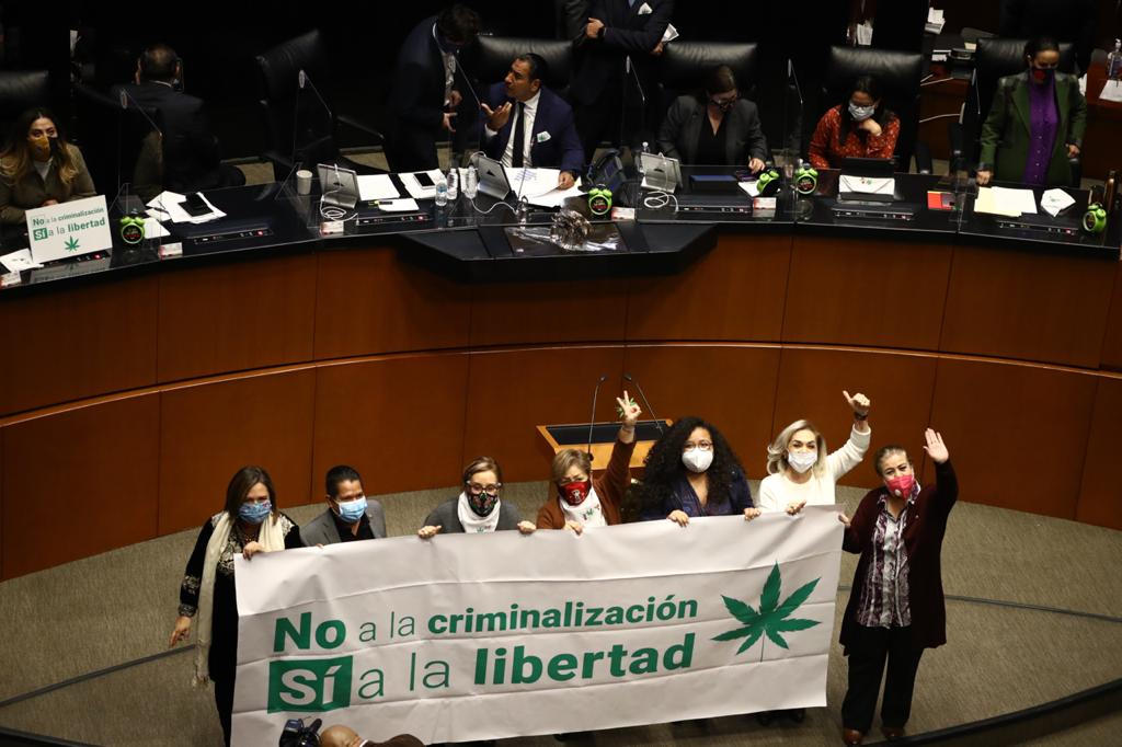 Recibe Senado proyecto para despenalización de marihuana en México