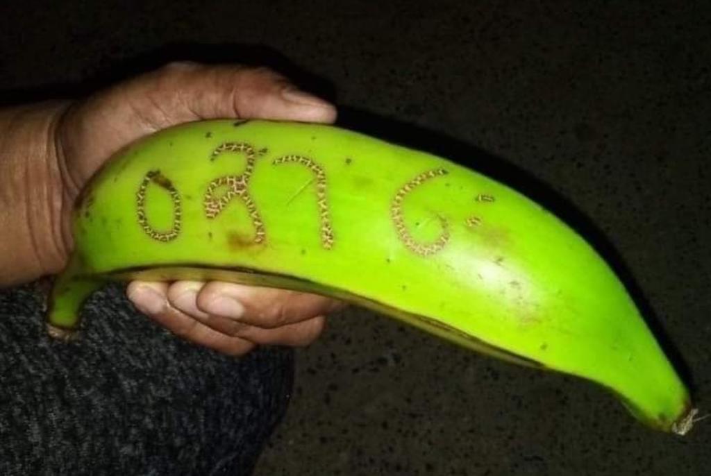 Dos mil personas ganan la lotería gracias a un plátano en Colombia