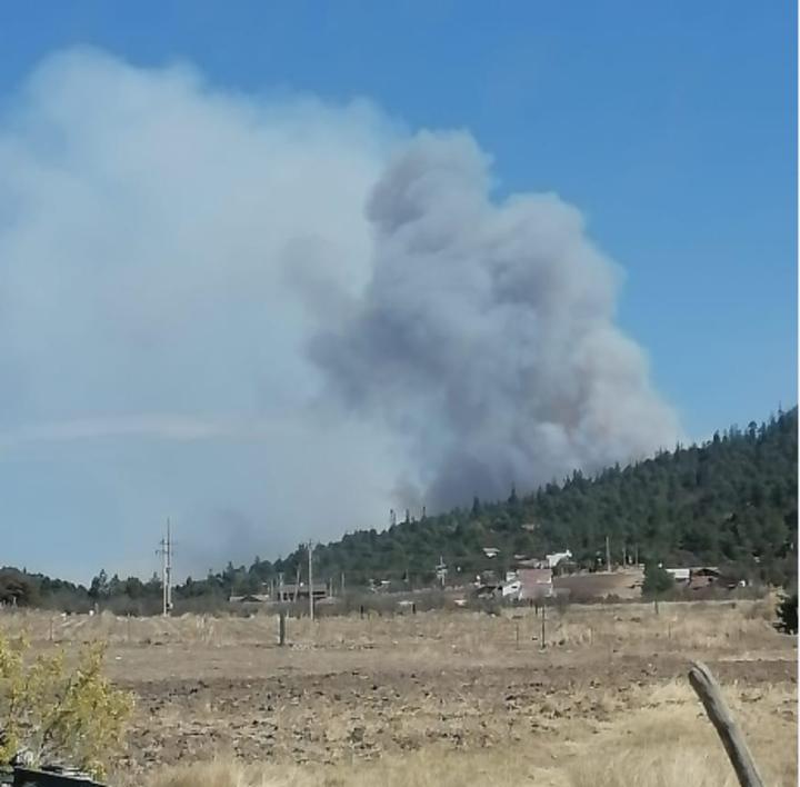 Registran incendio en Sierra de Arteaga