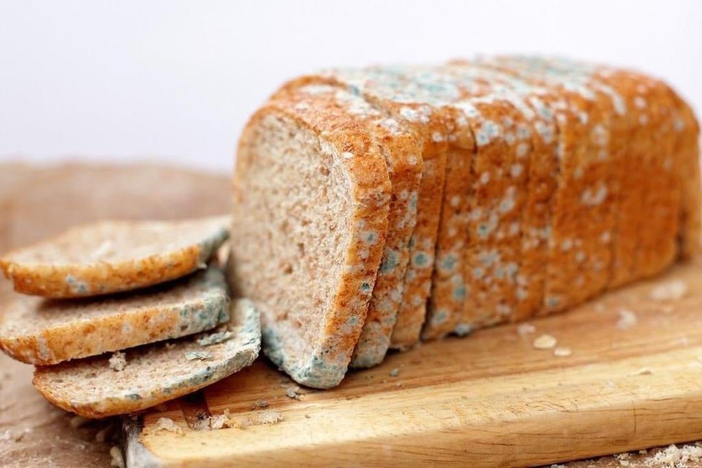¿Qué hacer si hay moho en el pan?