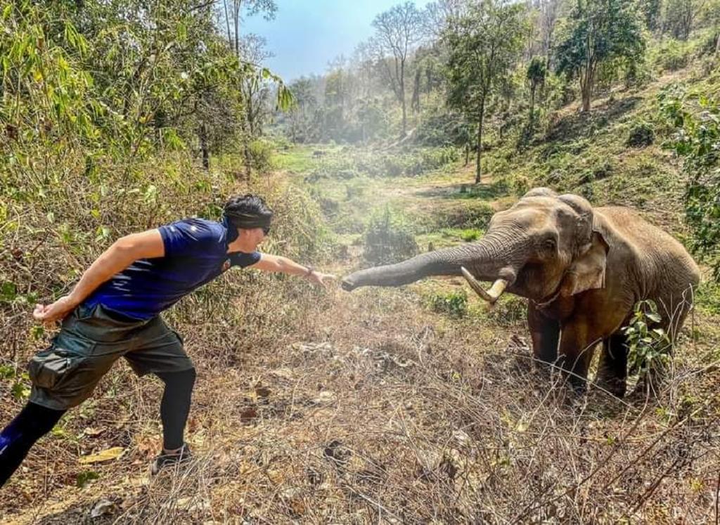 Emotivo momento en que elefante se reencuentra con veterinario que lo salvó