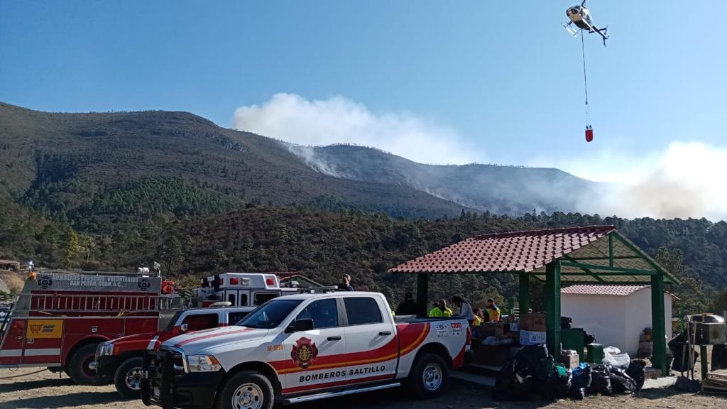 'Descuidos humanos arrasan con bosques'