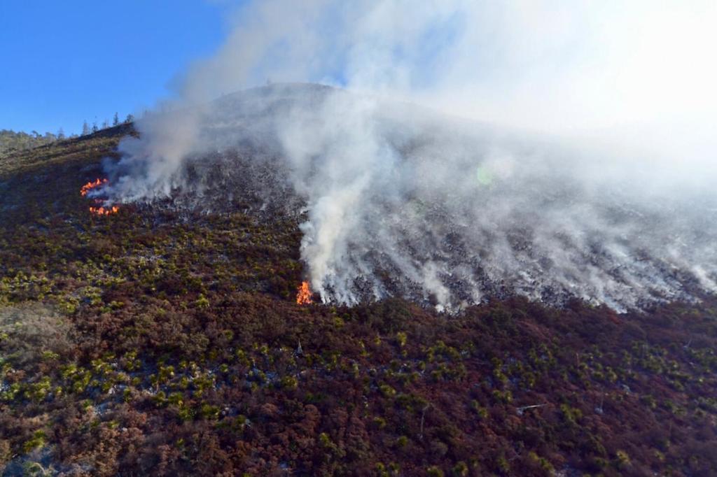 Avanza 40 por ciento control de fuego en la Sierra de Arteaga