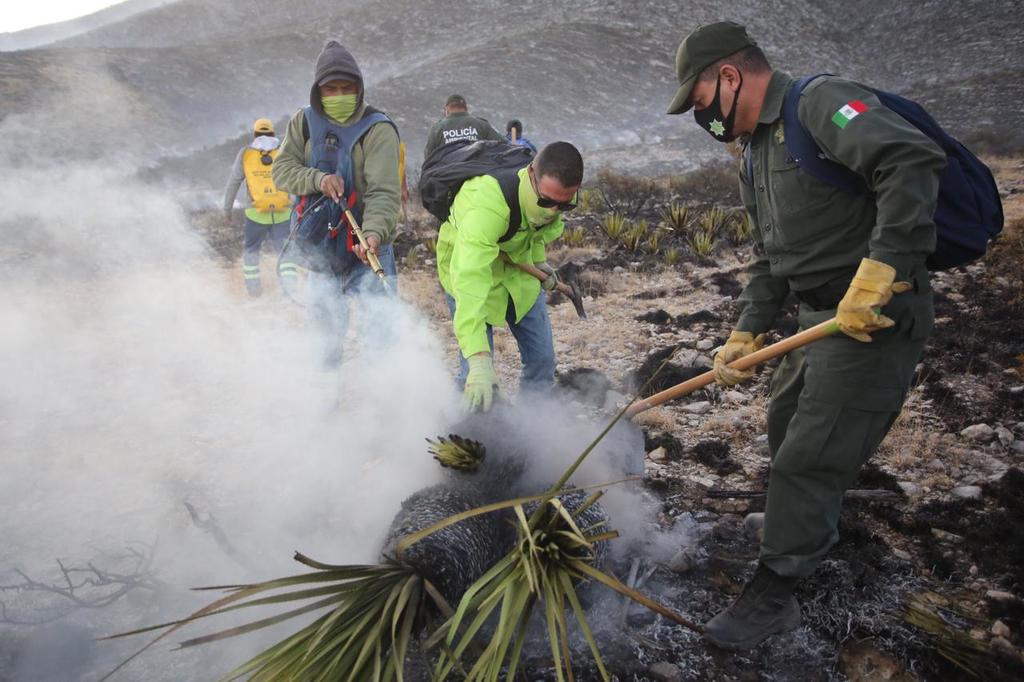 Suman 200 las hectáreas afectadas por incendio en Sierra Zapalinamé