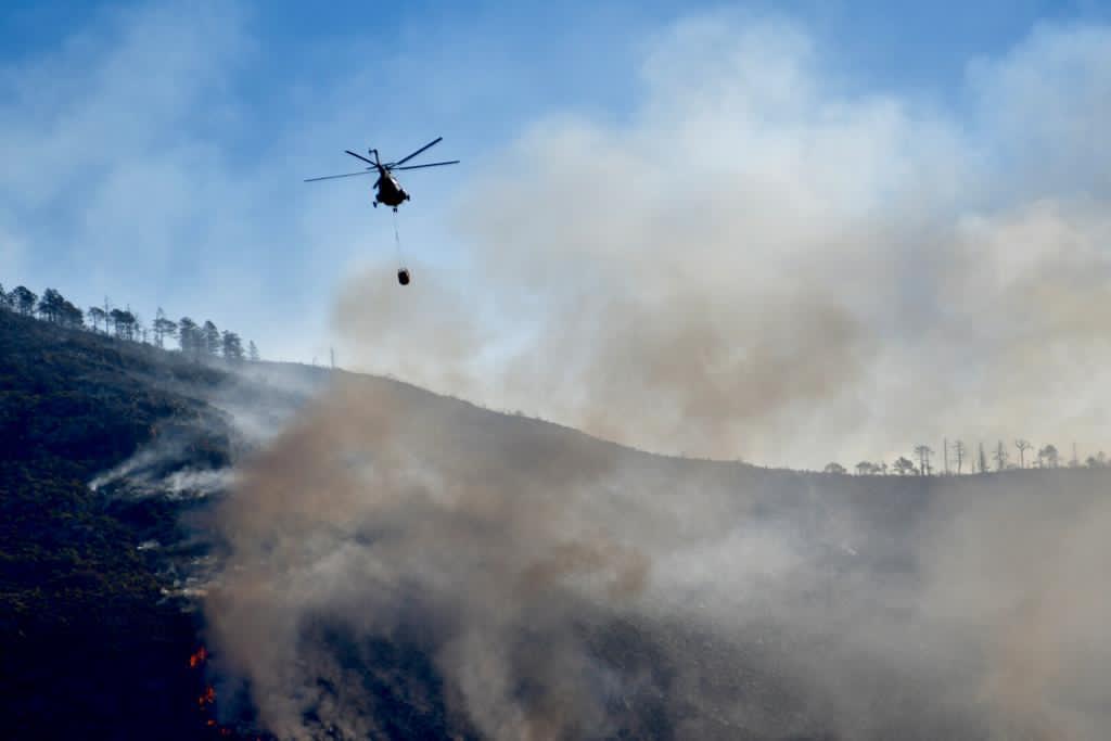 Confirman que incendio en Arteaga fue por carne asada