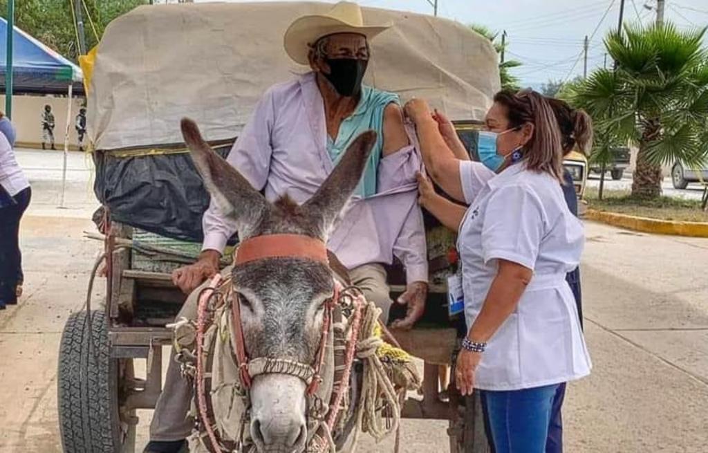 Abuelito llega en su carrito de mulas para recibir su vacuna contra COVID-19 en Tamaulipas