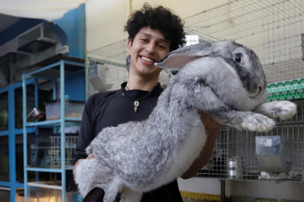 Estudiante mexicano cría a los conejos más grandes del mundo en Puebla