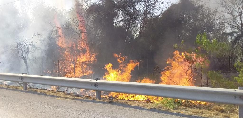 Se registra incendio junto a la carretera 57; habría sido provocado