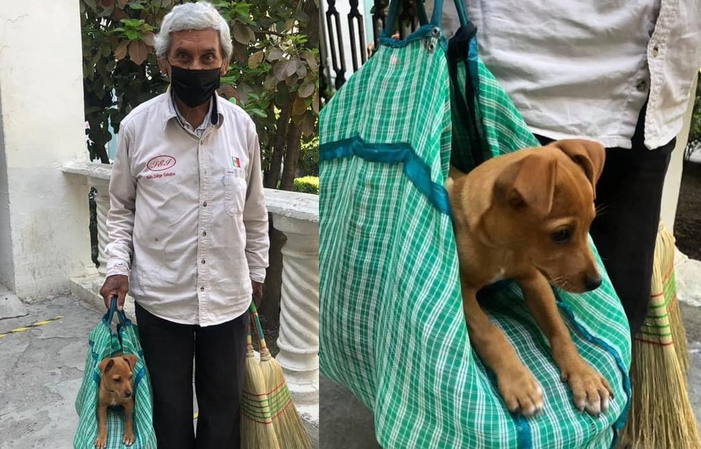 Conmueve abuelito que vende escobas en Tamaulipas junto a perrito rescatado
