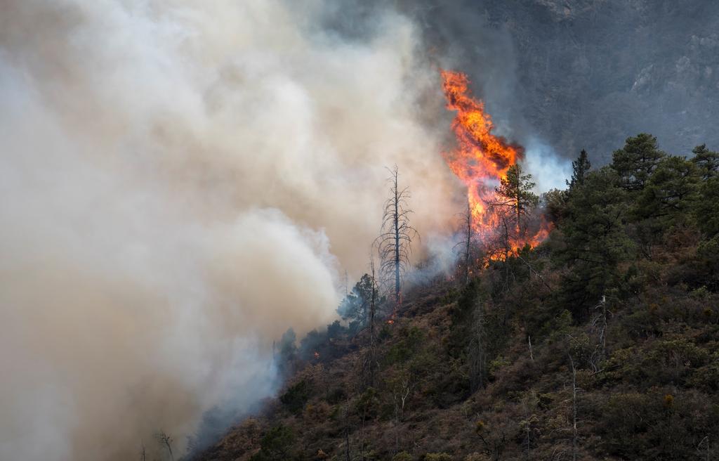 Avanzan incendios en Coahuila y San Luis Potosí a límites con Nuevo León
