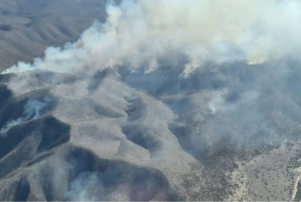 Incendios forestales se propagan a Nuevo León