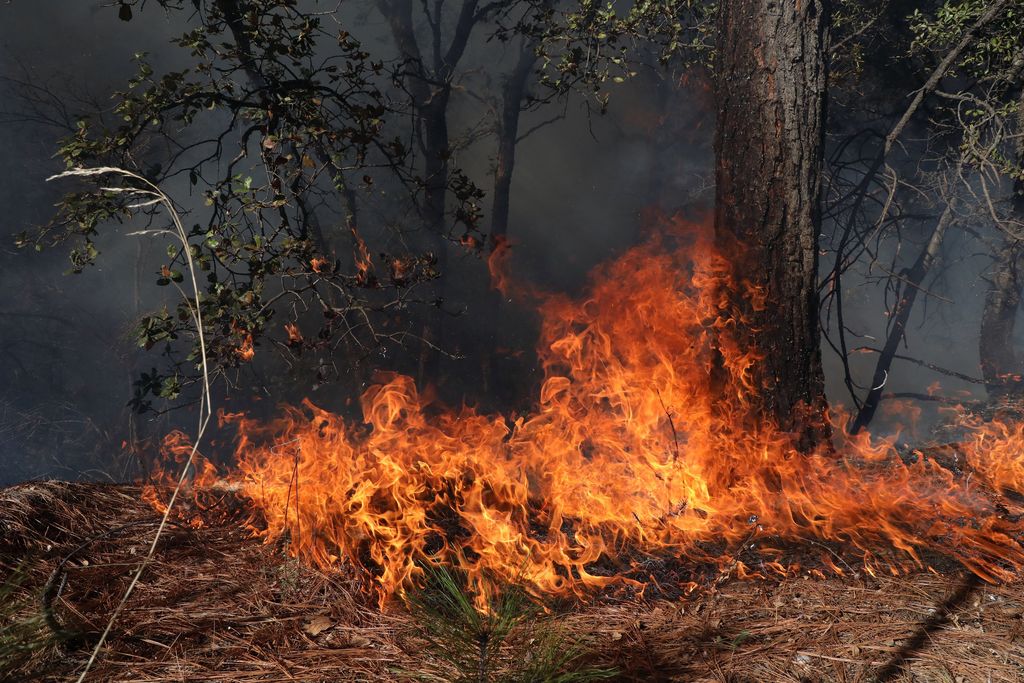 Prevén nuevos incendios en Coahuila ante temporada de calor