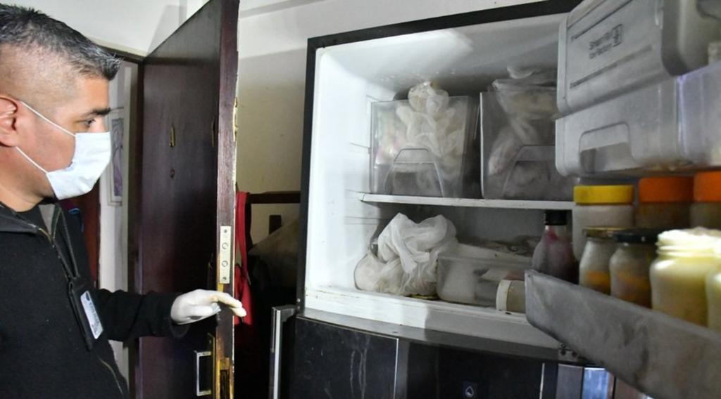 Encuentran cadáveres de siete gatos congelados en el refrigerador de una mujer