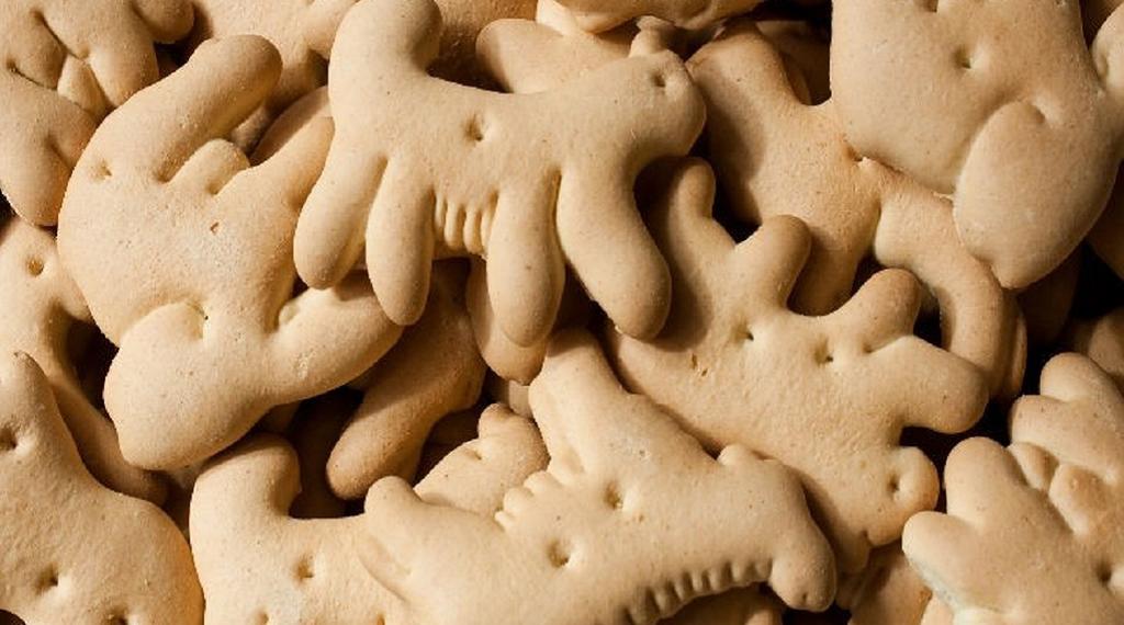 ¿Buscan prohibir las galletas de animalitos por fomentar el maltrato?