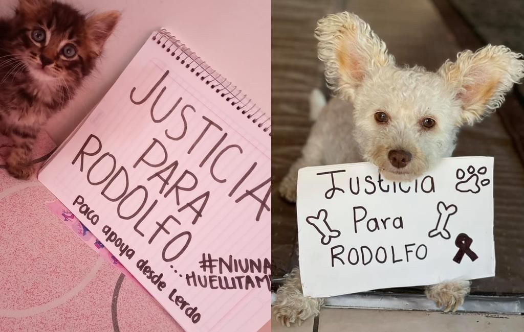 Mascotas 'exigen' justicia para 'Rodolfo' con campaña en redes sociales
