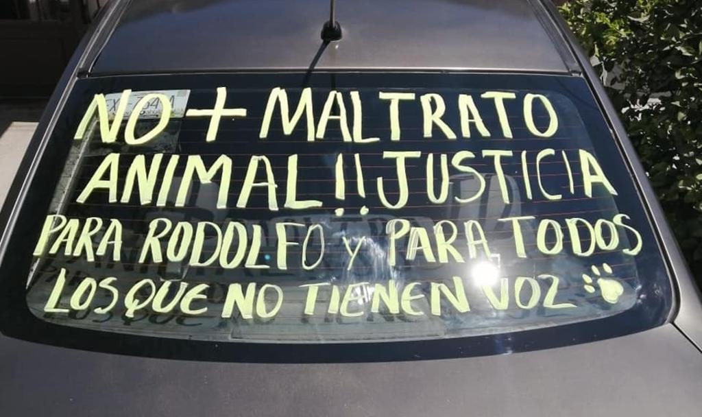 Convocan a marcha en Torreón para exigir justicia por el perrito 'Rodolfo'