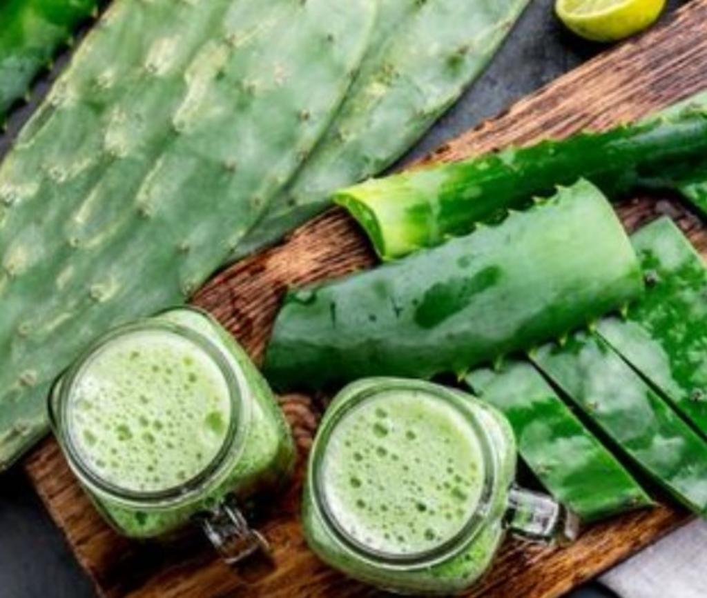 ¿Por qué es bueno para la salud tomar jugo de nopal y sábila?