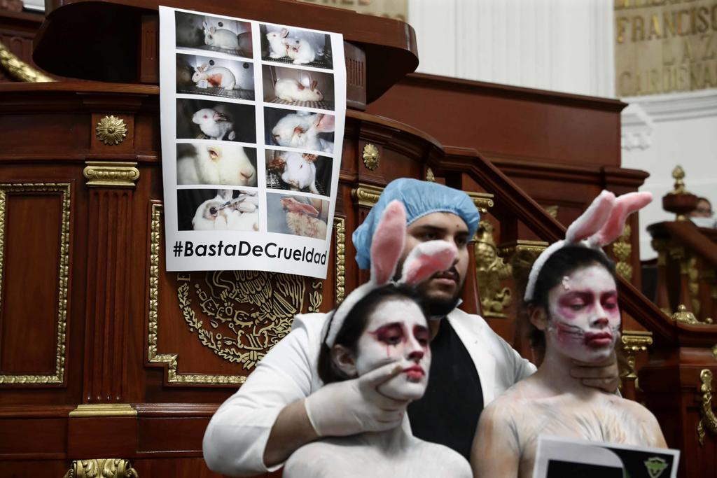 Prohíben diputados pruebas cosméticas en animales; dictamen vuelva al Senado