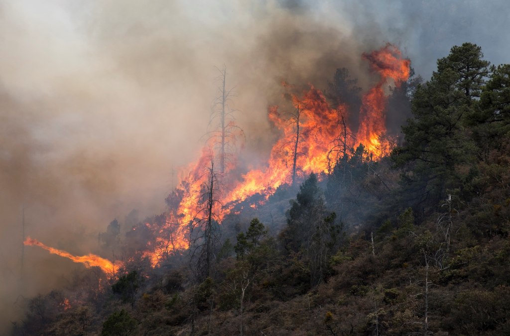 Aumentarían incendios forestales en Coahuila por sequía